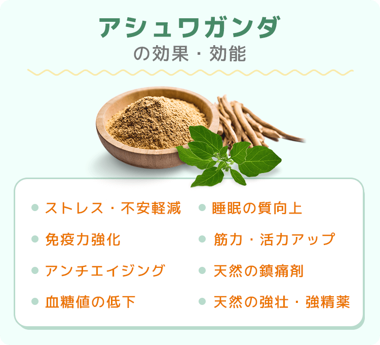 アシュワガンダ 300錠