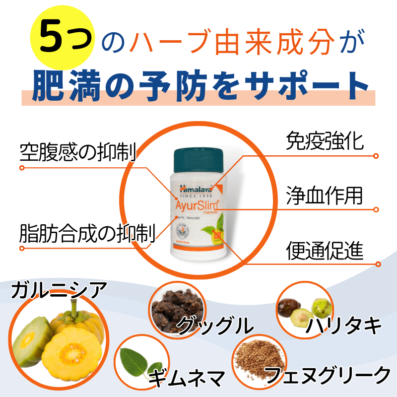 アーユスリム 180錠